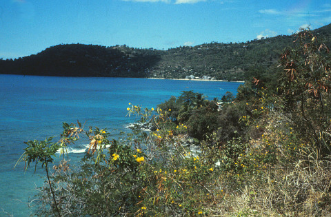 Grand Mal Bay