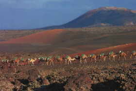 Lanzarote