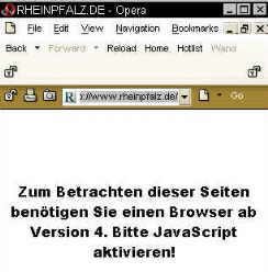 bescheuerte Webdesigner