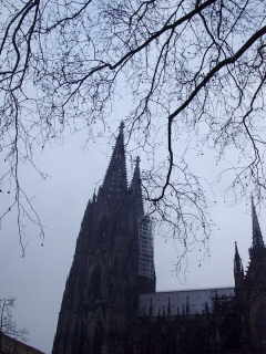 Dom