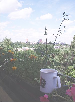 Balkon