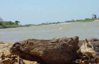 Rio Apure