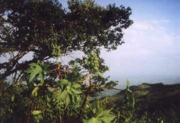 Gebirg