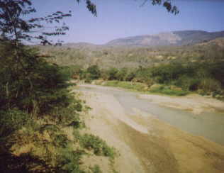 Rio Tocuyo