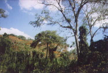 Gebirg