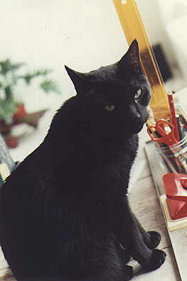 Kater