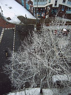 Winter