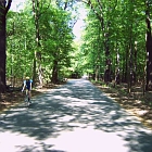 Krinprinzessinnenweg