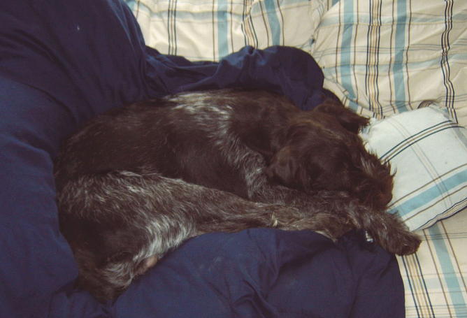 Ajax