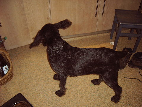 Ajax