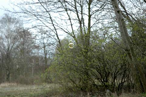 Bubbles