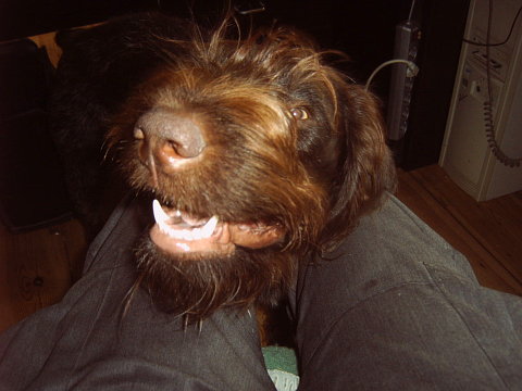 Ajax