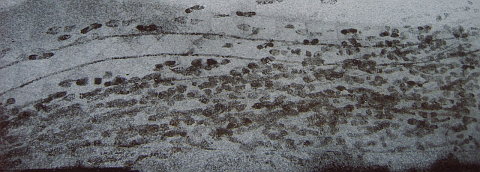 Spuren im Schnee