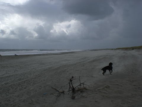 beach