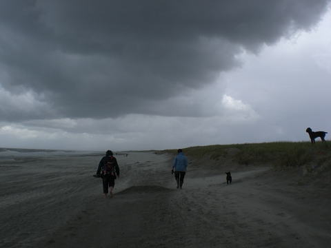 beach