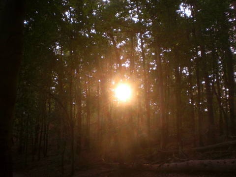 Sonnenuntergang
