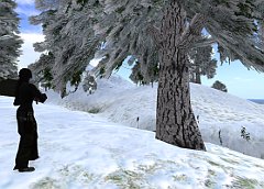 Second Life