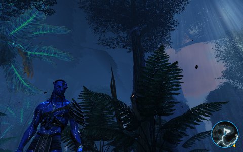 Pandora