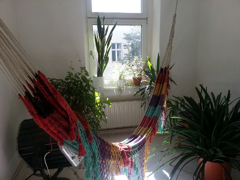 home sweet home