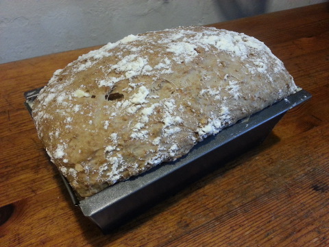 Brot