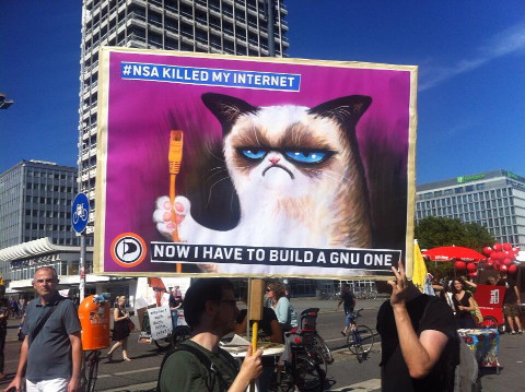 grumpy cat