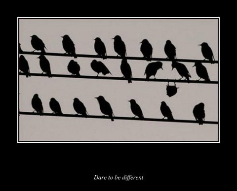 dare to be different