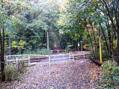 Herbst