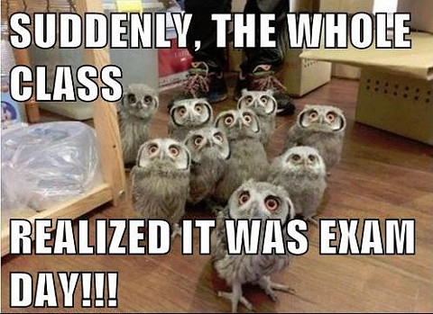 examen