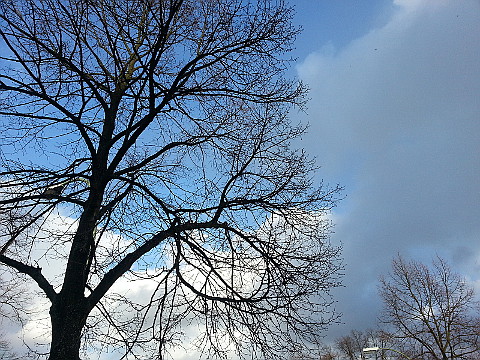 Himmel