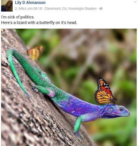 politik