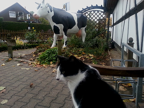 milchhof