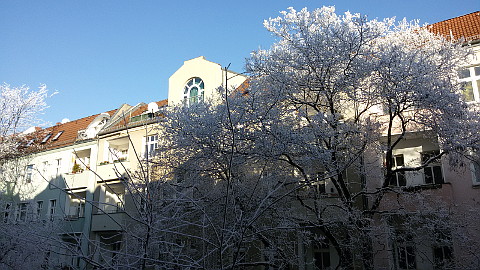 winter