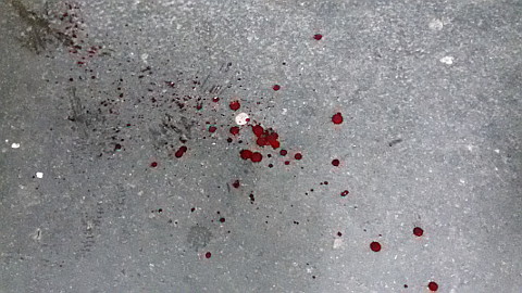 Blut