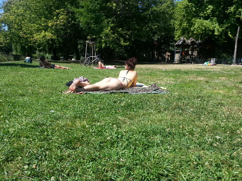 liegewiese