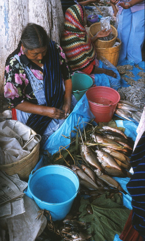 Pátzcuaro