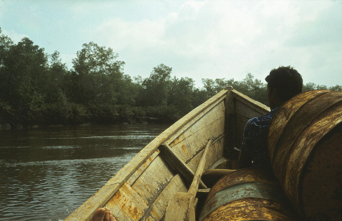 Rio Mira