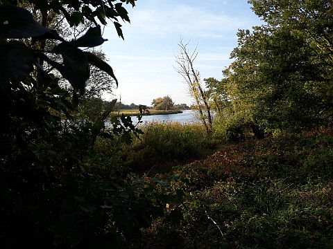 Havel bei Havelberg
