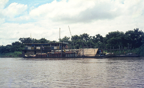 rio mamore