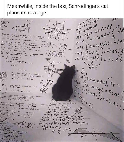 schroedinger's cat