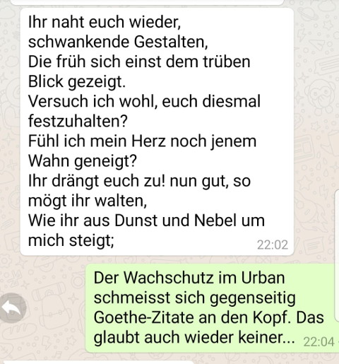 goethe zitate