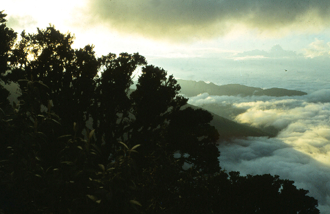 tunguragua