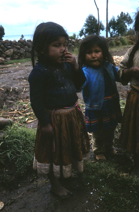 Amantani