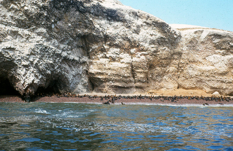 islas Ballestas