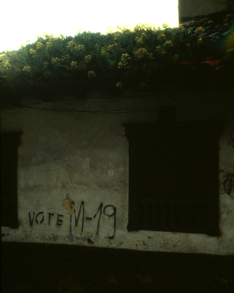 m-19