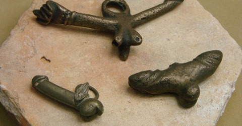 penis
