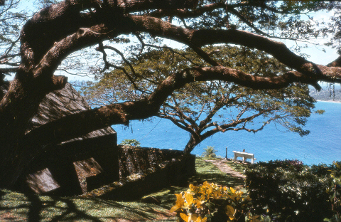 fort king george