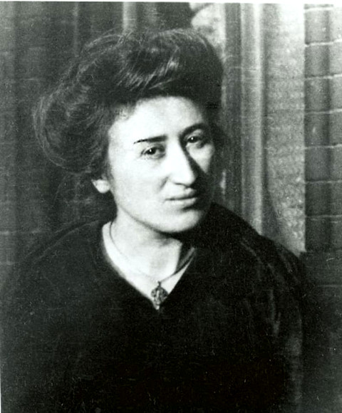 rosa Luxemburg