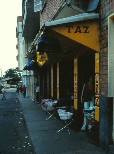 taz