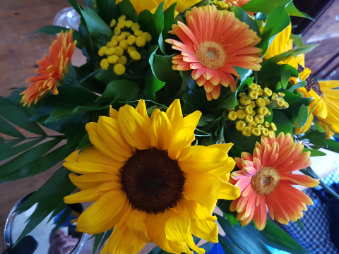 sonnenblumen