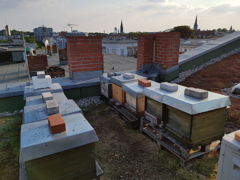 Kreuzberg